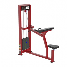 LA227 Biceps Curl