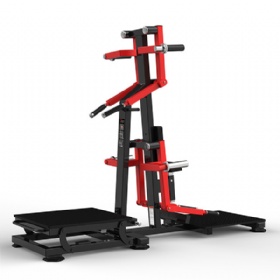 AE109-A Standing Lateral Raise& Rear Deltoid