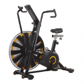 WH822-A Air Bike