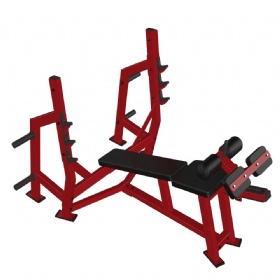SE603 Olympic Decline Bench WT. Storage