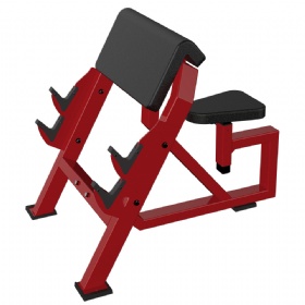 SE619 Seated Arm Curl
