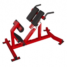 SE620 Back Extension