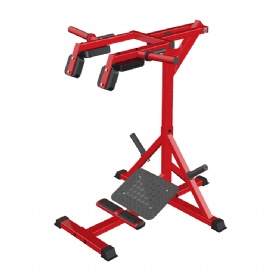 SE644 Stand Calf Raise