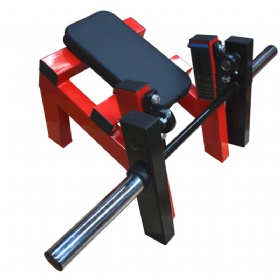 SE661 Fore Arm Curl