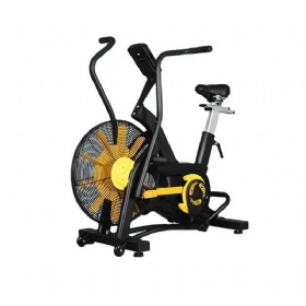 WH821 Air Bike