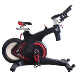 WH817-A Magnetic Spinning Bike