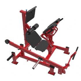 AE187 Dual 45 Degree Hip Extension