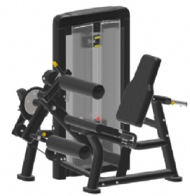 LB321 Seated Leg Extension & Curl