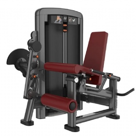 LB324-A Prone Leg Curl&Extension
