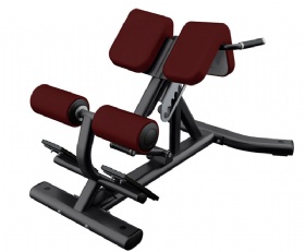 LB342 Back Extension