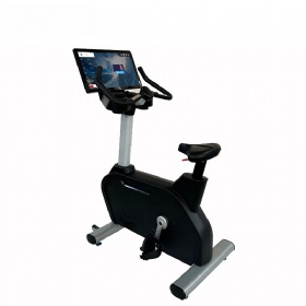 WH829-A Upright Bike with TV