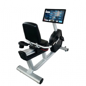 WH831-A Recumbent Bike With TV