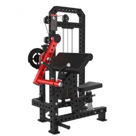 Biceps Curl & Triceps Extension
