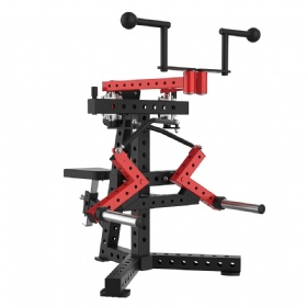 Bent-Over Dumbbell Raise