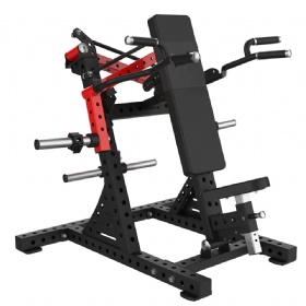 Shoulder Press
