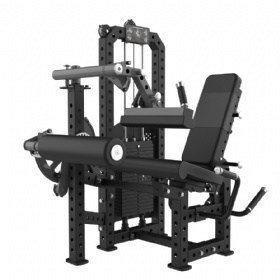 3 in 1 Leg Curl & Leg Extension