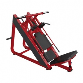 AE122 Leg Press and Hack Slide
