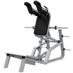AE125  V Squat