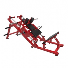 AE164 Hack Squat and Leg Press
