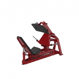 AE168 Leg Press