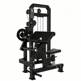 Biceps Curl & Triceps Extension