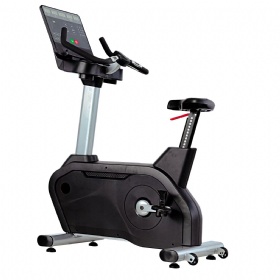 WH829 Upright Bike